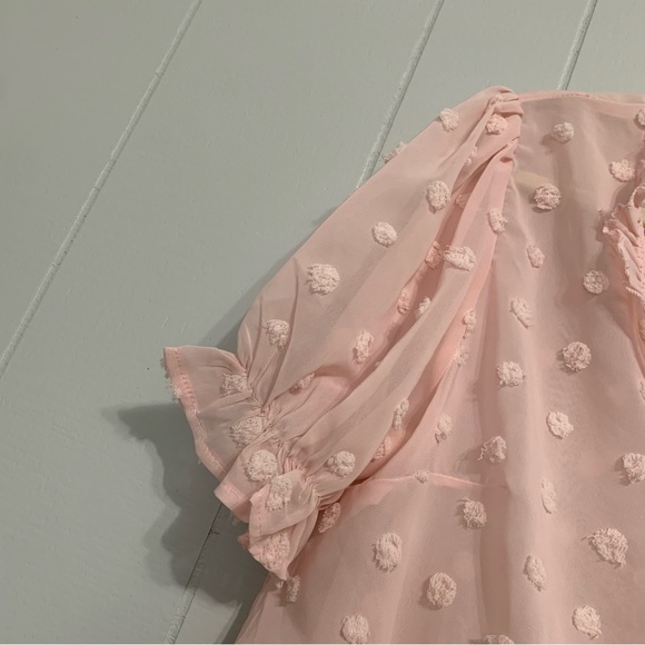 Women’s Light Pink C+D+M Collection Short Sleeve Sheer Swiss Dot V-Neck Blouse - Picture 5 of 6
